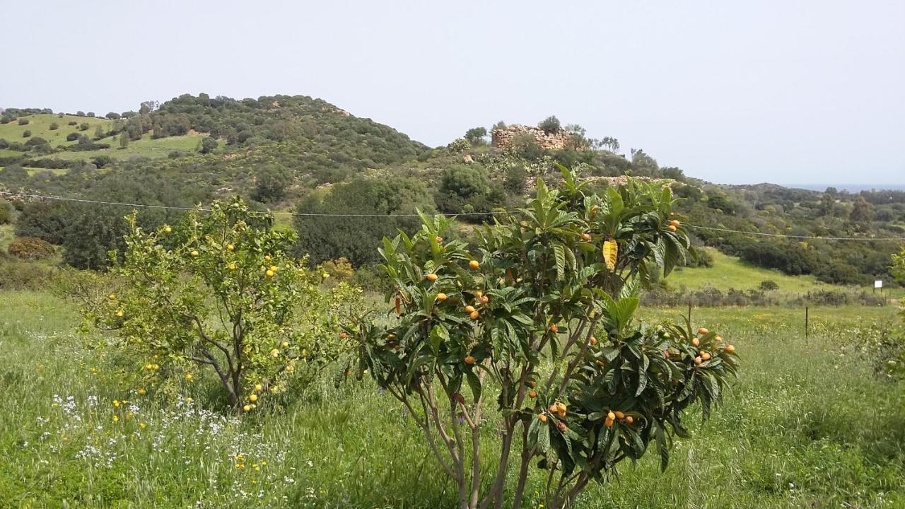 La Casetta Rosa Tertenia Bagian luar foto