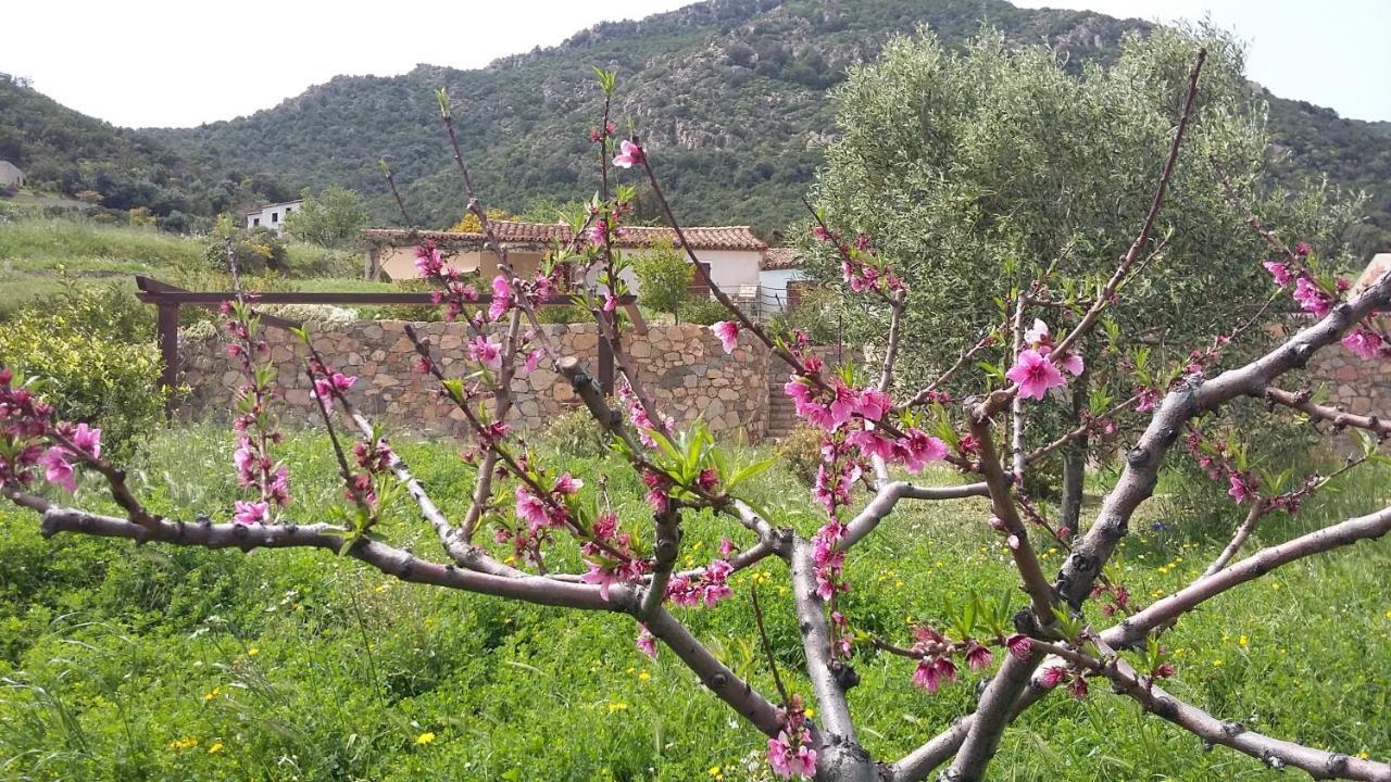 La Casetta Rosa Tertenia Bagian luar foto